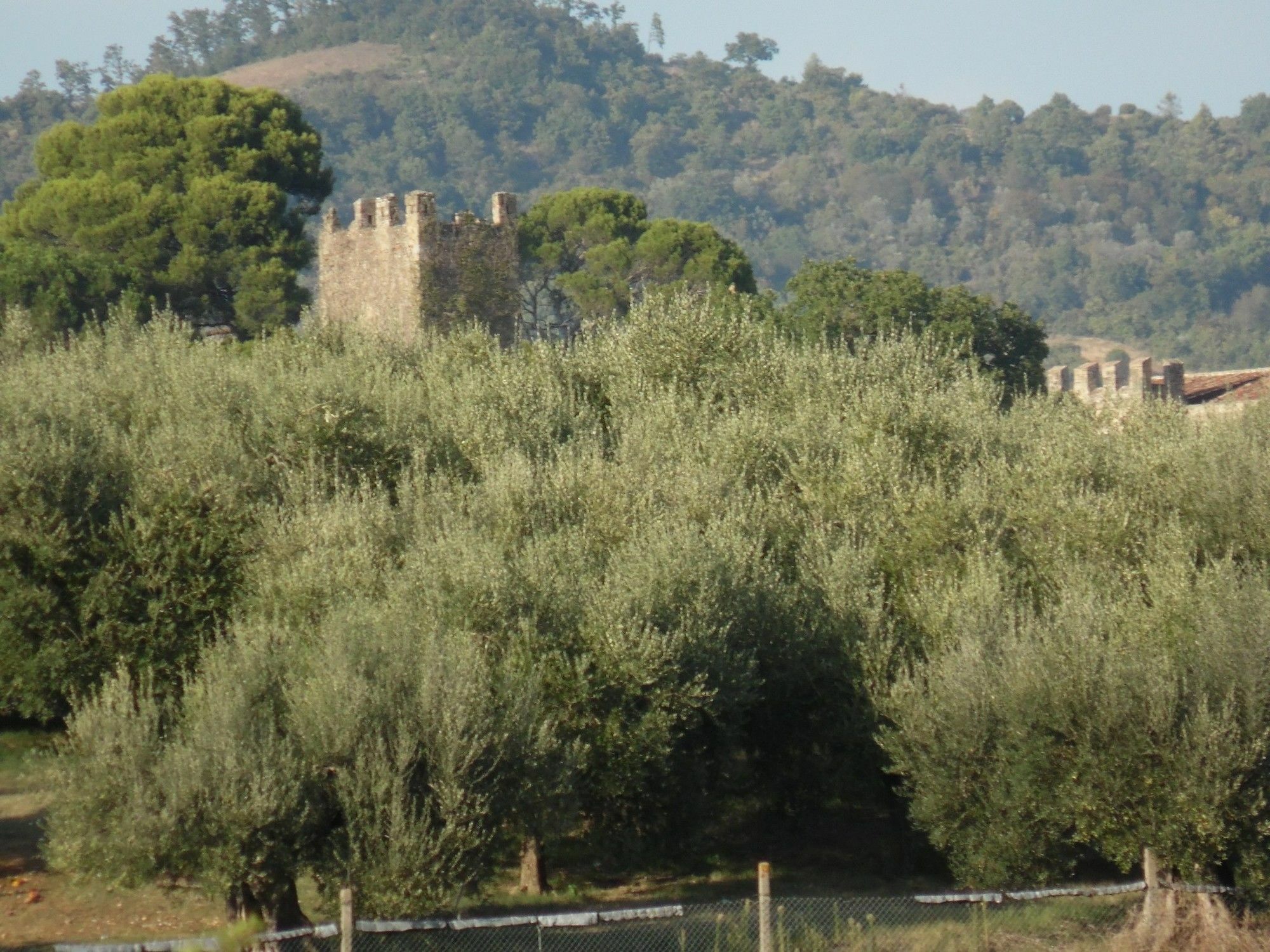 Podere Caldaruccio La Pineta Περούτζια Εξωτερικό φωτογραφία