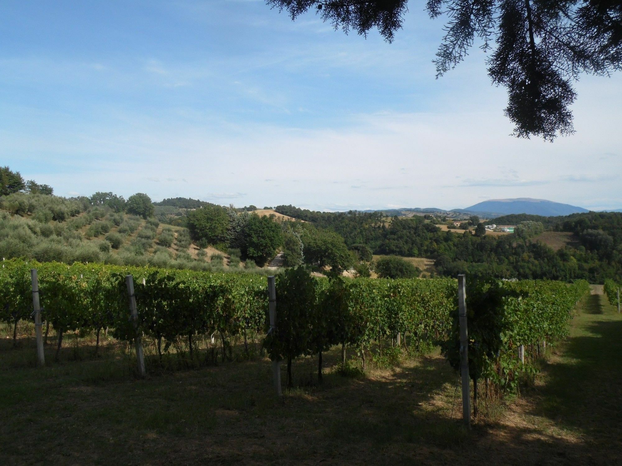 Podere Caldaruccio La Pineta Περούτζια Εξωτερικό φωτογραφία